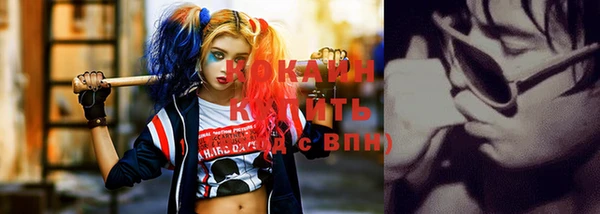 твердый Козельск