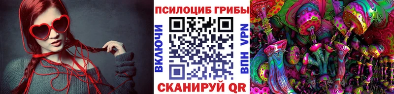 Галлюциногенные грибы прущие грибы  Купить  Гаджиево 